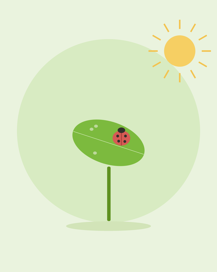 Flad illustration af en mariehøne på et blad blandt bladlus – bekæmpelse af almindelige haveskadedyr, fra SeedsChoice