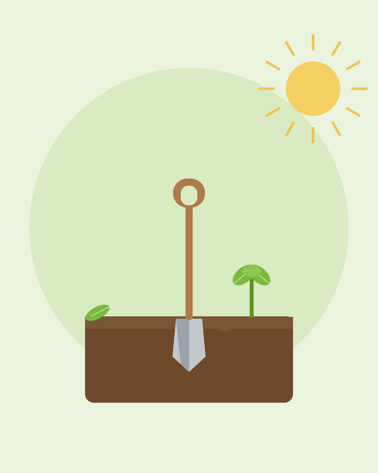 Flad illustration af en spade i bearbejdet jord med en frøplante – forberedelse af din jord, fra SeedsChoice