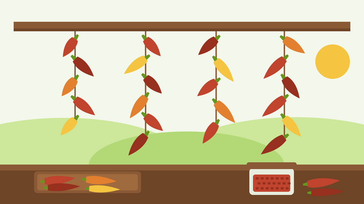 How to dry chillies — flat illustration of red, orange and yellow chillies hanging on strings from a wooden beam, with a drying tray and a jar of chilli flakes on the worktop below