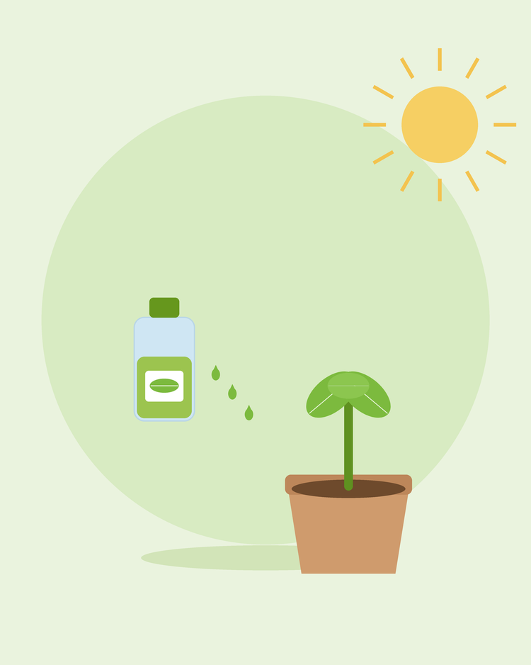 Flad illustration af en plantenæringsflaske med dråber ved siden af en potteplante – gødskning og næring til planter, fra SeedsChoice