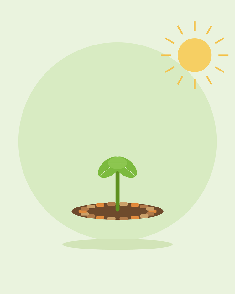 Flad illustration af en frøplante omgivet af mulchflis – mulching og ukrudtsbekæmpelse, fra SeedsChoice