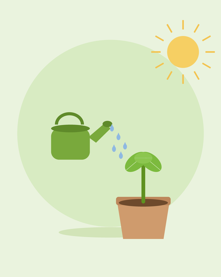 Flad illustration af en grøn vandkande, der vander en potteplante – vanding af din have, fra SeedsChoice
