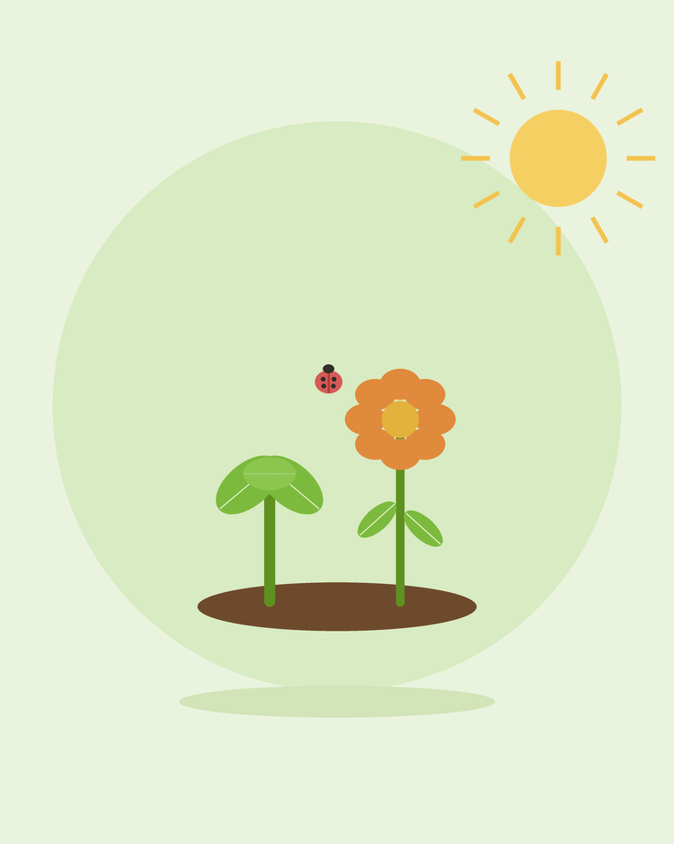 Flad illustration af en grøntsag og en blomst, der vokser side om side med en mariehøne – samplantning, fra SeedsChoice