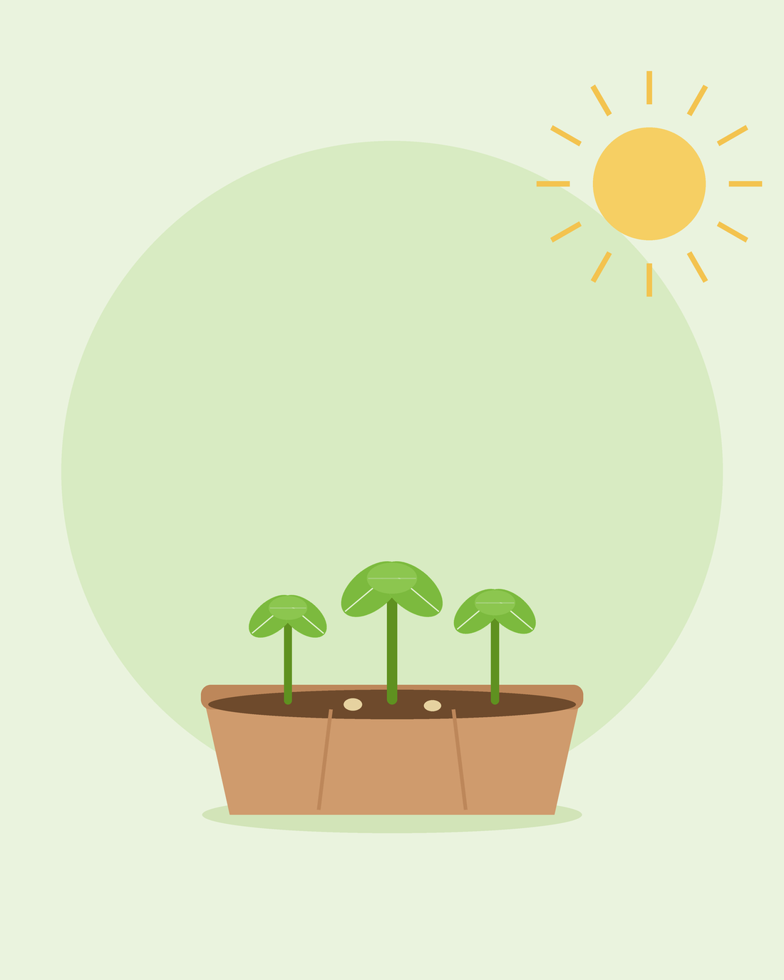 Flad illustration af en frøbakke med tre unge frøplanter i solen – dyrkning fra frø for begyndere, fra SeedsChoice