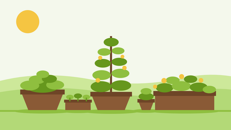 Krukkegartneri fra frø — flad illustration af terrakottapotter, en vindueskasse og en såbakke med unge planter på en solrig terrasse