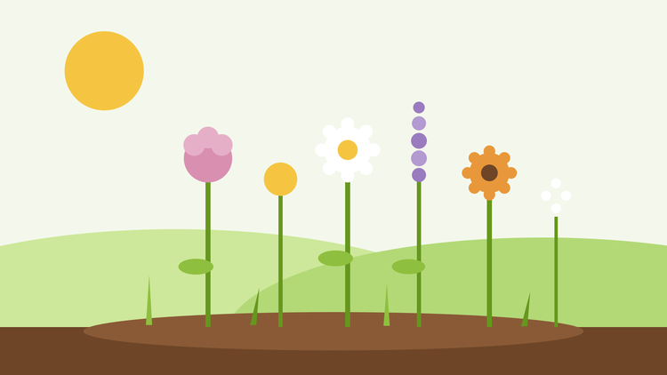 Snittblomsterhave fra frø — flad illustration af en række farverige snittblomster i en havebund
