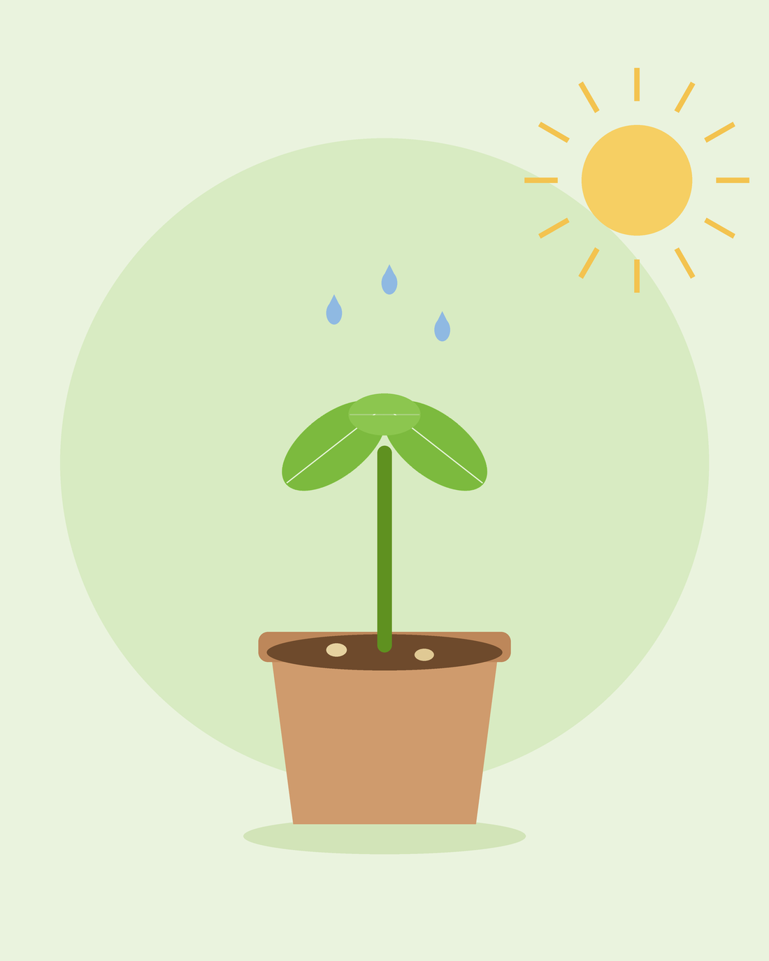 Flad illustration af en ung frøplante, der spirer i en potte under solen med vanddråber – frøspiring fra SeedsChoice