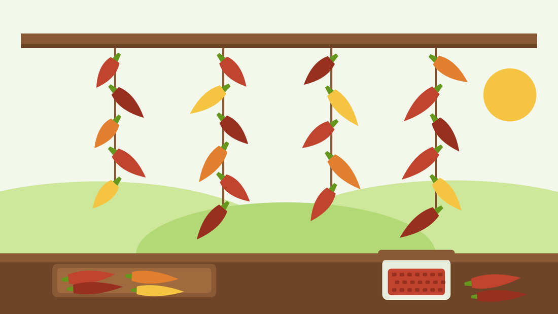 How to dry chillies — flat illustration of red, orange and yellow chillies hanging on strings from a wooden beam, with a drying tray and a jar of chilli flakes on the worktop below