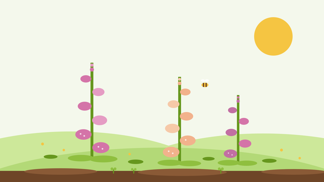 Sådan dyrker du fingerbøl fra frø — flad illustration af lyserøde og ferskenfarvede fingerbølstande med en humlebi i en grøn have, fra SeedsChoice