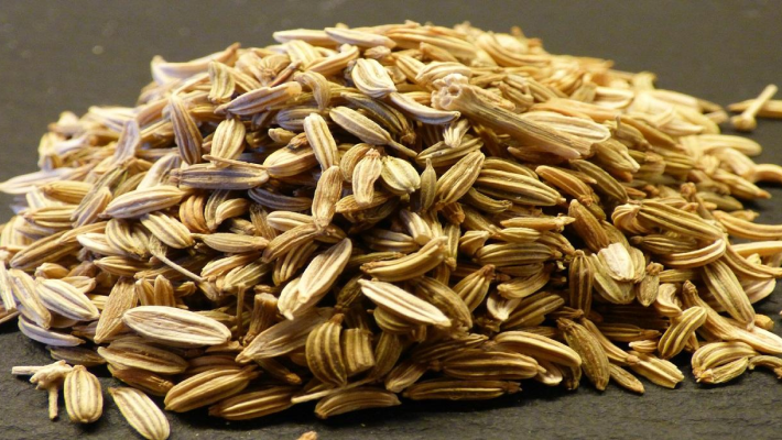 Urtefrø – SeedsChoice