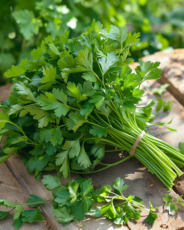 Parsley Gigante D'italia seeds (Petroselinum crispum) – organic biennial