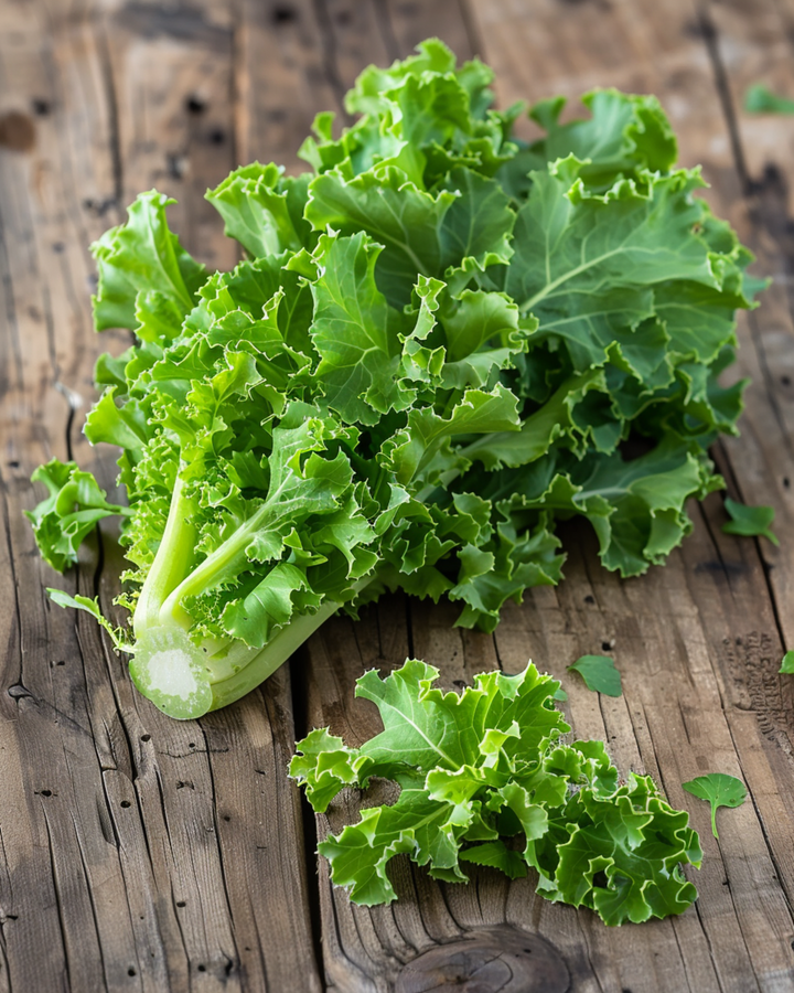 Curled Endive Grosse Pancaliere seeds (Cichorium endivia) – organic annual vegetable
