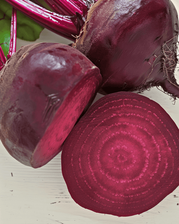 Rødbede Egyptian Turnip Rooted frø (Beta vulgaris) – økologisk etårig grøntsag