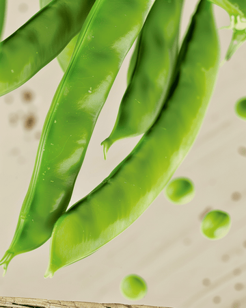 Sukkerært Norli frø (Pisum sativum) – økologisk etårig grøntsag