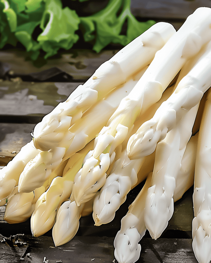 Early Argenteuil-frø (Asparagus officinalis) – flerårig