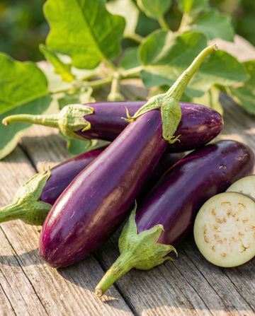 Aubergine Violetta Lunga 2 (Solanum melongena) – etårlige grøntsagsfrø fra SeedsChoice