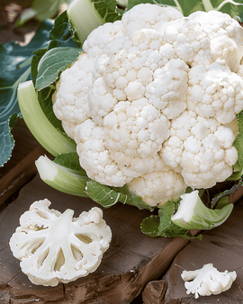 Blomkålsfrø Alpha 7 Brassica oleracea etårig