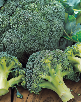 Broccoli Calabrese Natalino frø – Brassica oleracea, etårig