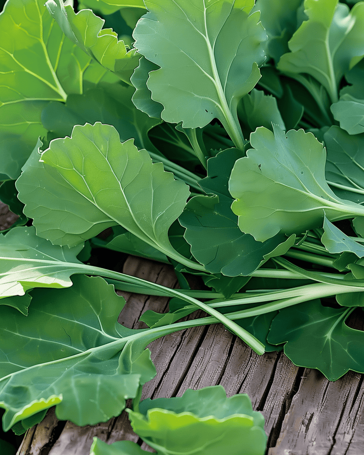 Bladmoesfrø (Brassica rapa) – etårig grøntsag