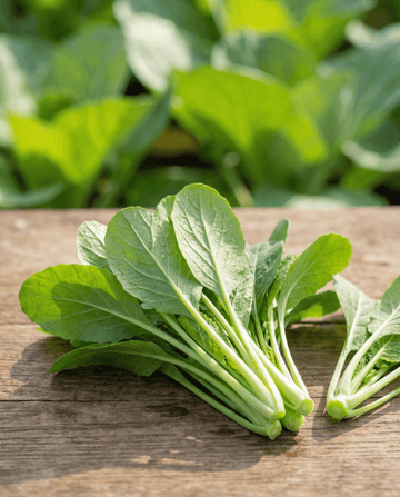 Bladgrønt Namenia (Brassica rapa) – etårlige grøntsagsfrø fra SeedsChoice