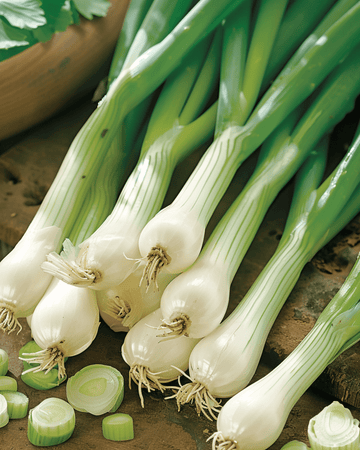 Forårsløgfrø Ishikura (Allium fistulosum) – etårig grøntsag