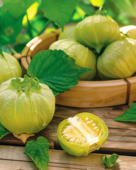 Tomatillofrø Physalis Ixocarpa enårig grøntsag