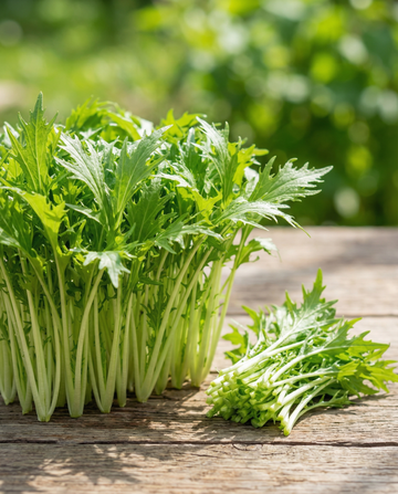 Mizuna Microgreens (Brassica rapa) – annual microgreens seeds from SeedsChoice