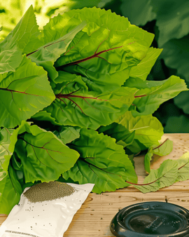 Kinesisk spinat Amaranthus dubius etårig Bayam