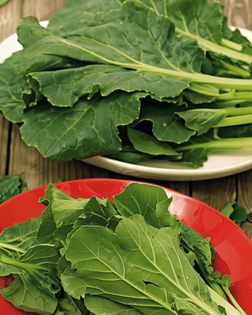 Komatsuna Mustard Spinach-frø (Brassica rapa) – grøntsag