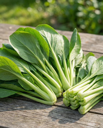 Komatsuna Mustard Spinach (Brassica rapa) – grøntsagsfrø fra SeedsChoice