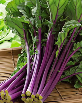 Hon Tsai Tai frø Brassica Rapa etårig lilla stængler