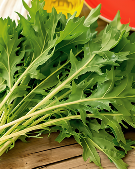 Mizuna frø Brassica Rapa grøntsag