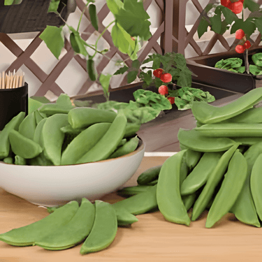 Snap Pea Delikett seeds (Pisum sativum) – annual vegetable