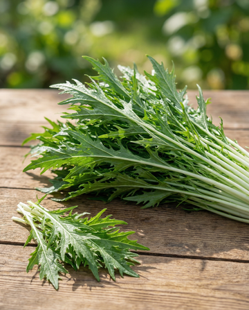 Mizuna Leafy (Brassica rapa) – grøntsagsfrø fra SeedsChoice