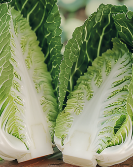 Kinakålfrø Brassica Rapa Pe Tsai grøntsag