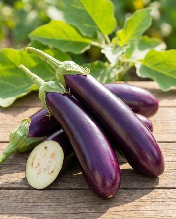 Aubergine Violetta Lunga Medium Early (Solanum melongena) – grøntsagsfrø fra SeedsChoice