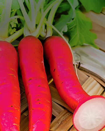 Radise Candela Di Fuoco frø (Raphanus sativus) – grøntsag