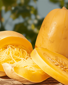 Spaghetti Squash frø Cucurbita Pepo – etårig grøntsagssort