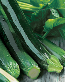 Squash Mix frø Cucurbita pepo tidlig sort