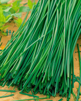 Purløg Prager frø Allium schoenoprasum flerårig urt