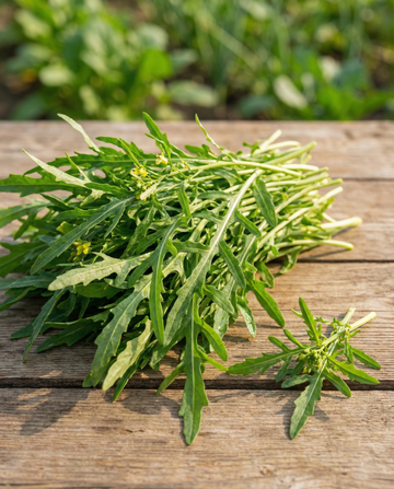 Vild rucola bladgrønt (Diplotaxis tenuifolia) – flerårige grøntsagsfrø fra SeedsChoice