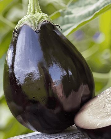 Aubergine Black Beauty frø (Solanum melongena) – ettårig grøntsag