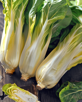 Bruxellescikoriefrø Cichorium Intybus toårig Videna