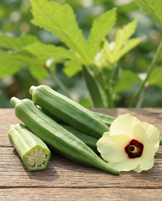 Okra Clemson Spineless (Abelmoschus esculentus) – ettårige grønsagsfrø fra SeedsChoice