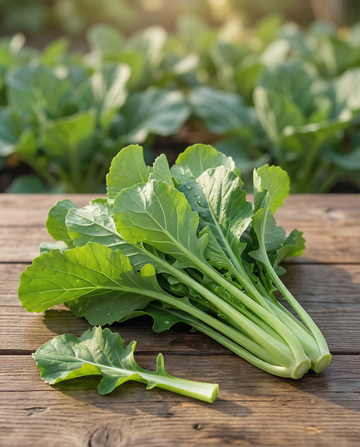 Namenia Greens (Brassica rapa) – etårige grønsagsfrø fra SeedsChoice