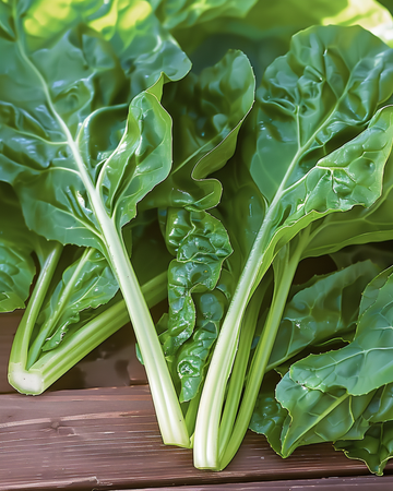 Mangold Common Green frø (Beta vulgaris) – etårig grøntsag