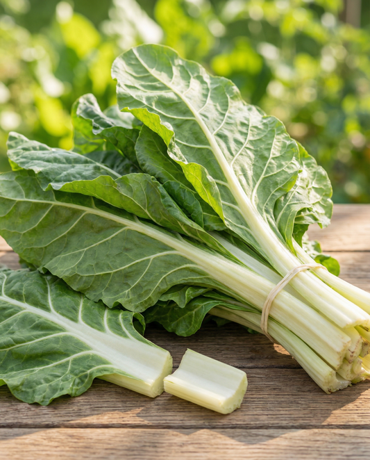 Mangold Lucullus (Beta vulgaris) – etårige grøntsagsfrø fra SeedsChoice