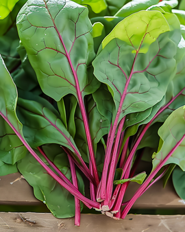 Spinat Red Kitten F1 frø Spinacia oleracea – ettårig