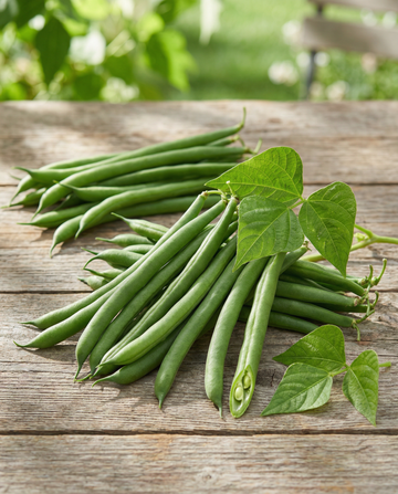 Dværgbønne Domino 25g (Phaseolus vulgaris) – frø til enårig grøntsag fra SeedsChoice