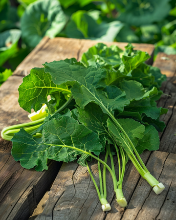 Turnip Greens Namenia Bladmoes 50g frø (Brassica rapa) – etårig grøntsag